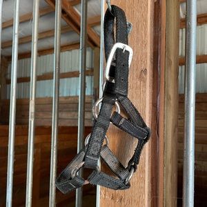 Valhoma Nylon Halter